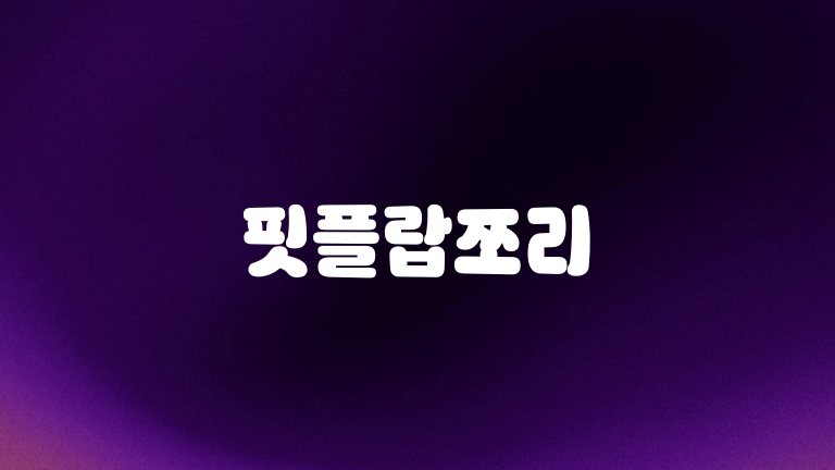 핏플랍쪼리