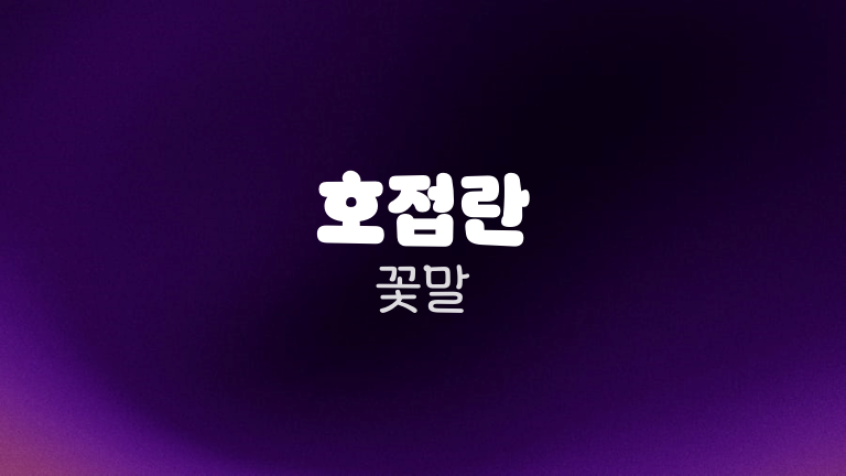 호접란 꽃말